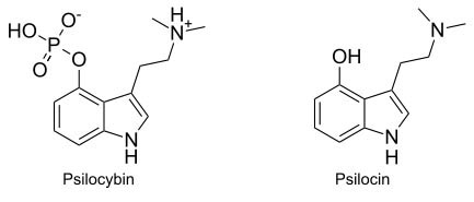 psilocybine structure